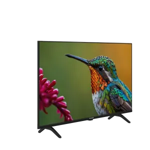 43" FHD Google TV - A43 D 697 B Smart TV