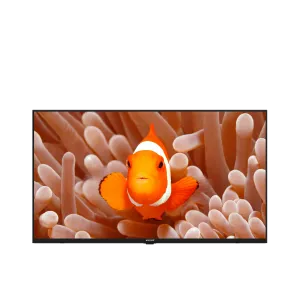 A43HF 500A4-A-BI Hotel Tv