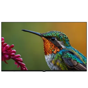 A65HU 500B2-A-BI Hotel Tv