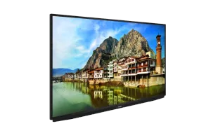 A65K 790G HOTEL TV Hotel Tv