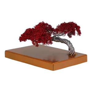 RÜYA II İz Bırak Ürünleri