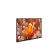 Resim
