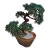 Resim