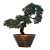 Resim