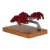Resim