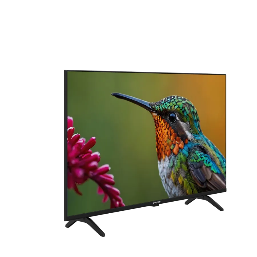 43" FHD Google TV - A43 D 697 B Smart TV