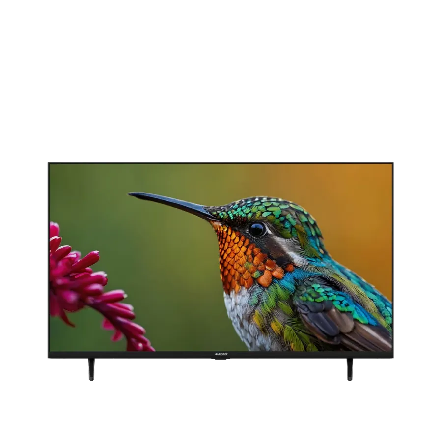 43" FHD Google TV - A43 D 697 B Smart TV