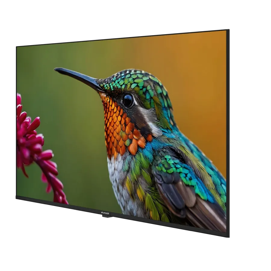 A50HU 500B2-A-BI Hotel Tv